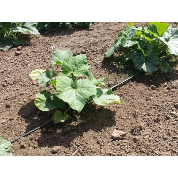 Vloeidarm Rol 250 Meter 8 Vloeidarm Rol 250 Meter - Afbeelding 6