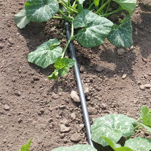 Vloeidarm Rol 250 Meter 3 Vloeidarm Rol 250 Meter