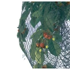 Vogelnet Beschermnet - Pronet 5 × 12 M -Planten Winkel vogelnet pronet 5 x 12 m 1630492275 4 600