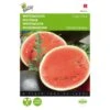 Watermeloen Sugar Baby - Citrullus Lanatus -Planten Winkel watermeloen sugar baby citrullus lanatus 1646840317 125 600