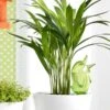 Gietsysteem Potplanten Vogeltje Groen - 220 Ml -Planten Winkel watervogel groen 220 ml 1484055420 1 600