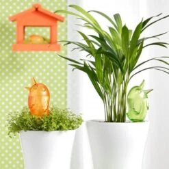 Gietsysteem Potplanten Vogeltje - 90 Ml 5 Gietsysteem Potplanten Vogeltje - 90 Ml -Planten Winkel watervogeltje 90 ml 1484056596 2 600