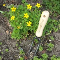 Wiedvork Twee Tanden Gesmeed - 28 Cm 7 Wiedvork Twee Tanden Gesmeed - 28 Cm -Planten Winkel wiedvork gesmeed 28 cm 1484057784 2 600