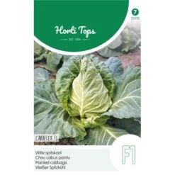 Witte Spitskool Capricorn F1 - Brassica Oleracea