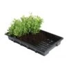 Zaaitrays - Professioneel - Set Van 5 Stuks -Planten Winkel zaaitrays professioneel 1497951313 1 600