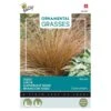 Zegge Bronco - Carex Comans -Planten Winkel zegge bronco carex comans 1646840390 1648 600