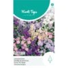 Zomerviolier Gemengd - Matthiola Incana 1 Zomerviolier Gemengd - Matthiola Incana -Planten Winkel zomerviolier gemengd matthiola incana 1646840363 1122 600