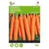 Zomerwortel Napoli F1 - Daucus Carota -Planten Winkel zomerwortel napoli f1 daucus carota 1646840376 1410 600