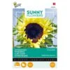 Zonnebloem Moonwalker - Helianthus Moonwalker -Planten Winkel zonnebloem moonwalker helianthus moonwalker 1646840320 199 600