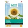 Zonnebloem White Sun F1 -Planten Winkel zonnebloem white sun f1 1646840390 1646 600