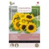 Zonnebloemen Sunlit Days -Planten Winkel zonnebloemen sunlit days 1646840390 1642 600
