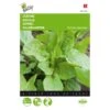 Zuring - Rumex Acetosa -Planten Winkel zuring rumex acetosa 1646840314 67 600