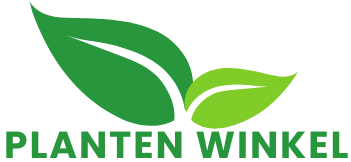 Planten Winkel